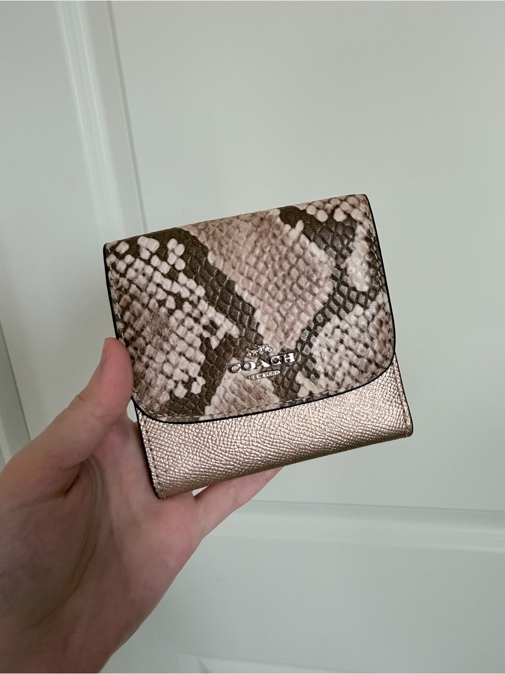 Coach Compact Metallic Wallet with Snake-Print Trim